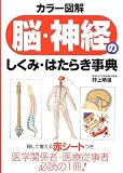 カラー図解 脳・神経のしくみ・はたらき事典