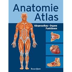 Anatomie-Atlas: K�rperbau . Organe . Funktionen