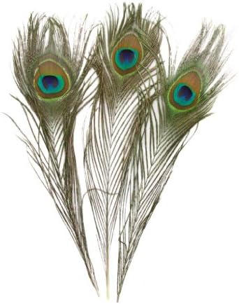 Natural Peaock Feathers 10" to 12"