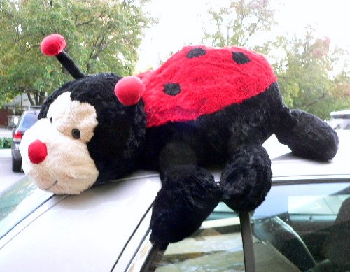 51Jg4vGZPBL GIANT STUFFED LADYBUG   30 inches long   JUMBO SQUISHY SOFT PLUSH LADY BUG INSECT TOY   Color: RED and BLACK