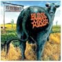 Dude Ranch