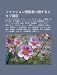 Fasshon Gu N X Zh Ni Gu Nsurusutabu XI Ng M: Edotsuwaki, Imalu, Anb R Etting , XI O S N Ch N, y Ru Tsubasa, Zh Ng Sh Ng Zh N y Zi
