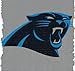 Duck Brand 281541 Carolina Panthers NFL Team Logo Duct Tape, 1.88-Inch by 10 Yards, Single Roll