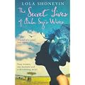 The Secret Lives of Baba Segi's Wives
