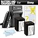 2 Pack Battery And Charger Kit For Sony HDR-CX220 HD Camcorder Includes 2 Extended Replacement (2300Mah) NP-FV70 Batteries + Ac/Dc Travel Charger + MicroFiber Cloth + More