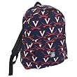 UVA Backpack University of Virginia Bag SMALLER than Huge Cumbersome Full-Size Packs- WATERPROOF LINING
