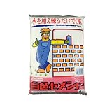 サンホーム 白色セメント 4Kg CW-4