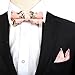 Stylefad Men's Floral Skinny Neck ties and Bowtie Pocket Square 3pcs Set for Gifts Pink