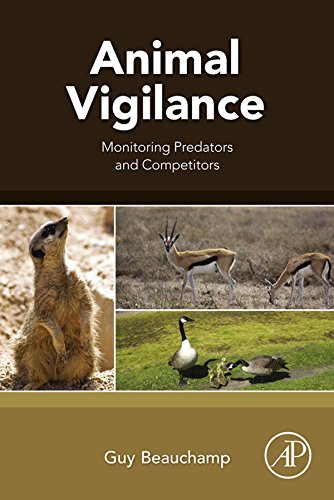 Animal Vigilance: Monitoring Predators and Competitors