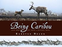 Being Caribou
