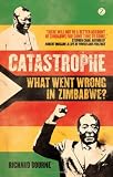 Catastrophe: What Went Wrong in Zimbabwe?