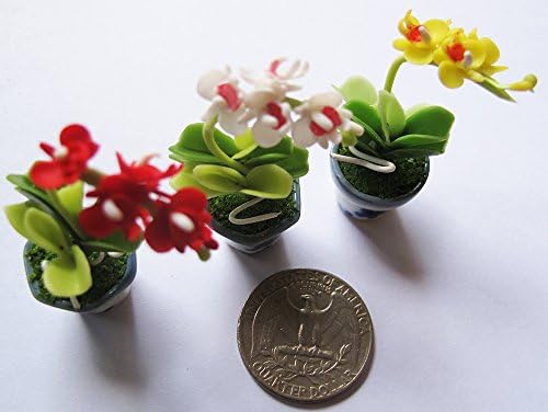3 Lovely Mix Phalaenopsis Plant Flower Dollhouse Miniature ,Home Decoration