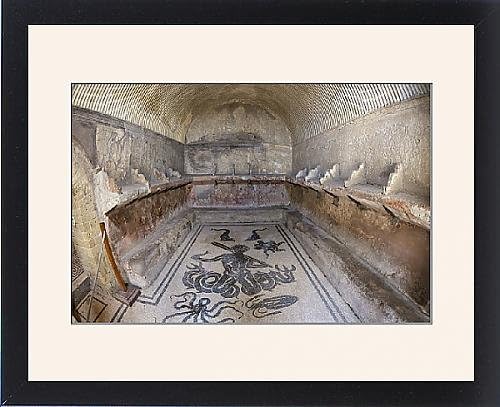 Framed Artwork of Floor of tepidarium in Roman central baths mosaic depicting Triton surrounded