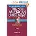 The New American Commentary Volume 26 - Acts