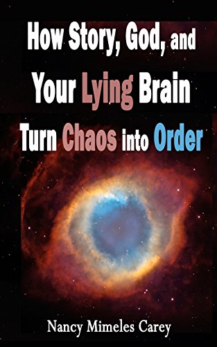 how story god and your lying brain turn chaos into order