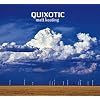 Quixotic