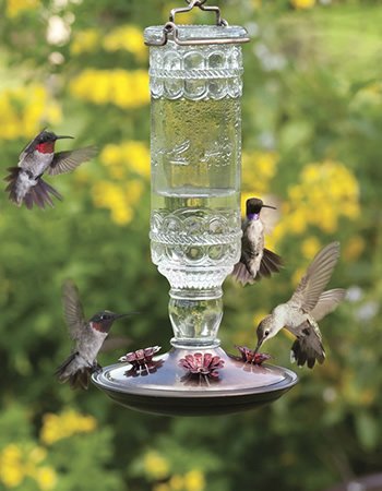 Antique Hummingbird Feeder