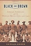 Black and Brown: African Americans and the Mexican Revolution, 1910-1920 (American History and Culture)