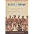 Black and Brown: African Americans and the Mexican Revolution, 1910-1920 (American History and Culture)