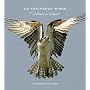 On Feathered Wings: Birds in Flight