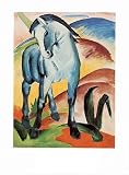 Franz Marc, Blaues Pferd I 40x50, Hochwertiger Kunstdruck - Pferde - Expressionismus