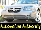 Nissan Maxima Mesh Grille Insert 02-03