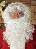 Economy Santa Beard & Wig Set Adult Size One-Size
