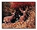 Two Buck Deer Large Antler Racks in Grass Photo Wall Picture Framed Art Print