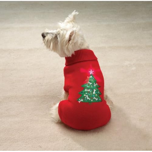 dog costume