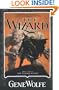 The Wizard: Book Two of The Wizard Knight