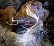 Seraphim