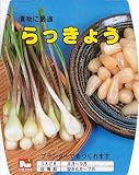 日光種苗 らっきょう たねいも