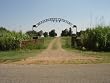 Beaver Creek Cemetery CD - Wichita County, Texas