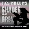 Shades of Grey: Alexis Stanton Chronicles, Book Two