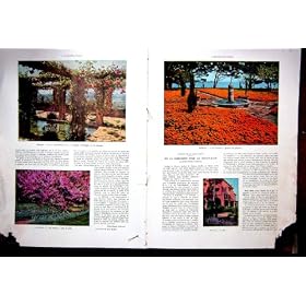Boulouris Mougins Garden Golfe-Jaun French Print 1934