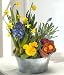 Dairy Day - Spring Flowers