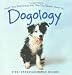 Search : Dogology: What Your Relationship with Your Dog Reveals about You