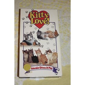 Kitty Love: Adorable Kittens at Play