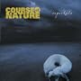 1000 Times (Album Version)