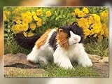Plush Calico Cat Puppet 20