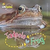 Tadpole to frog