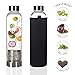 Teabloom Hot & Cold Brew Glass Travel Bottle (20 oz) - Includes Loose Leaf Tea Stainless Steel Filter Basket & Insulating Sleeve - Great for Tea, Coffee, Fruit, Water, Hot or Cold Drinks