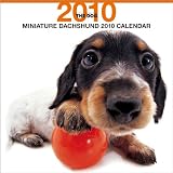 THE DOG ミニチュア・ダックスフンド 2010年 カレンダー