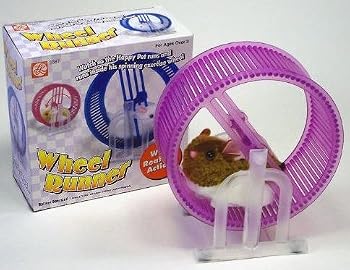 Happy Hamster with Wheel Runner