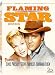 Flaming Star [1960] (REGION 1) (NTSC)