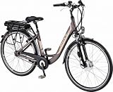 Move CRS 200 Damenfahrrad 28 Zoll braun 46 cm Einrohr 7 Gang-Nabenschaltung 2012