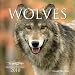 Wolves 2010 (Calendar)