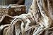 Tache 63 X 90 Inch Brown European Wolf Faux Fur Throw Blanket