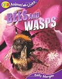 Bees and wasps