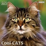 Cool Cats 2012: Wonderful World